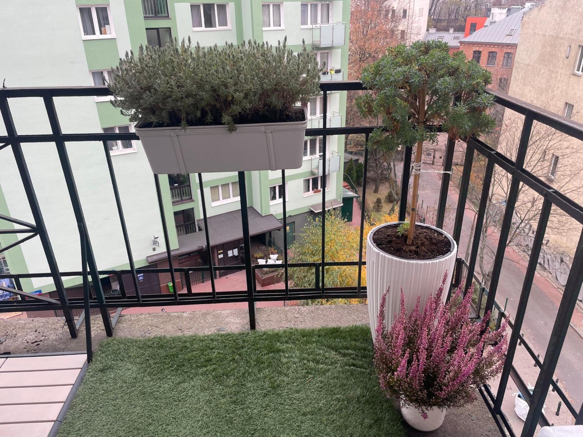 Constitution Corner Apartamento